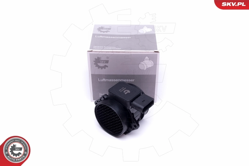 Mass Air Flow Sensor